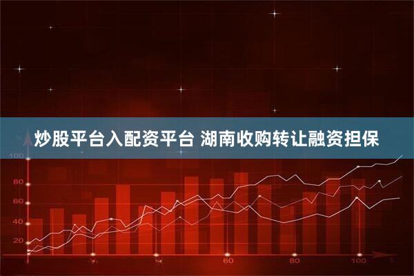 炒股平台入配资平台 湖南收购转让融资担保